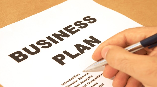 business plan, big picture