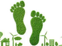 retailers, zero emissions, net-zero