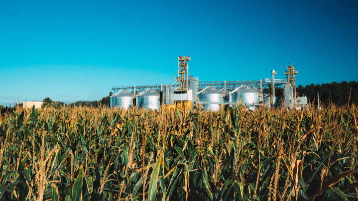 grains, rural businesses, bush