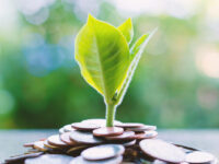 Finding savings in sustainable business practices