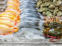 ASBFEO seeks common sense approach for seafood labelling regulations