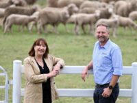 Farmers2Founders looking to scale Queensland agtechs