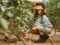 Smiling woman crouching down in front of tomato plants in a greenhouse.